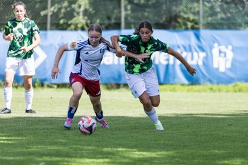 Bild 287 - wBJ Hamburger SV - VfL Wolfsburg : Ergebnis: 5:1